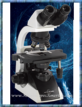 Accu-Scope 3012-LED-PH Binocular Microscope